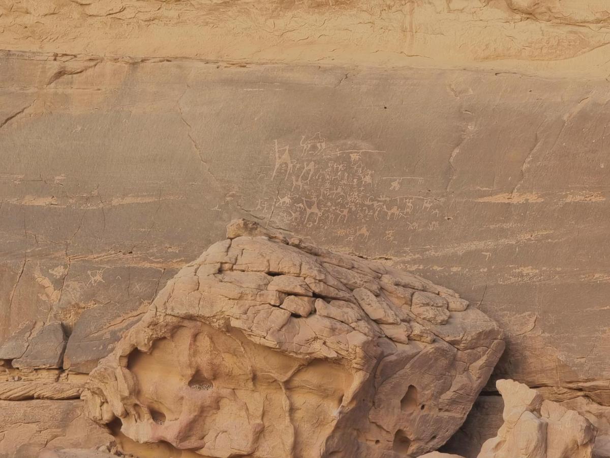 Desert Knights Camp Wadi Rum Exteriér fotografie