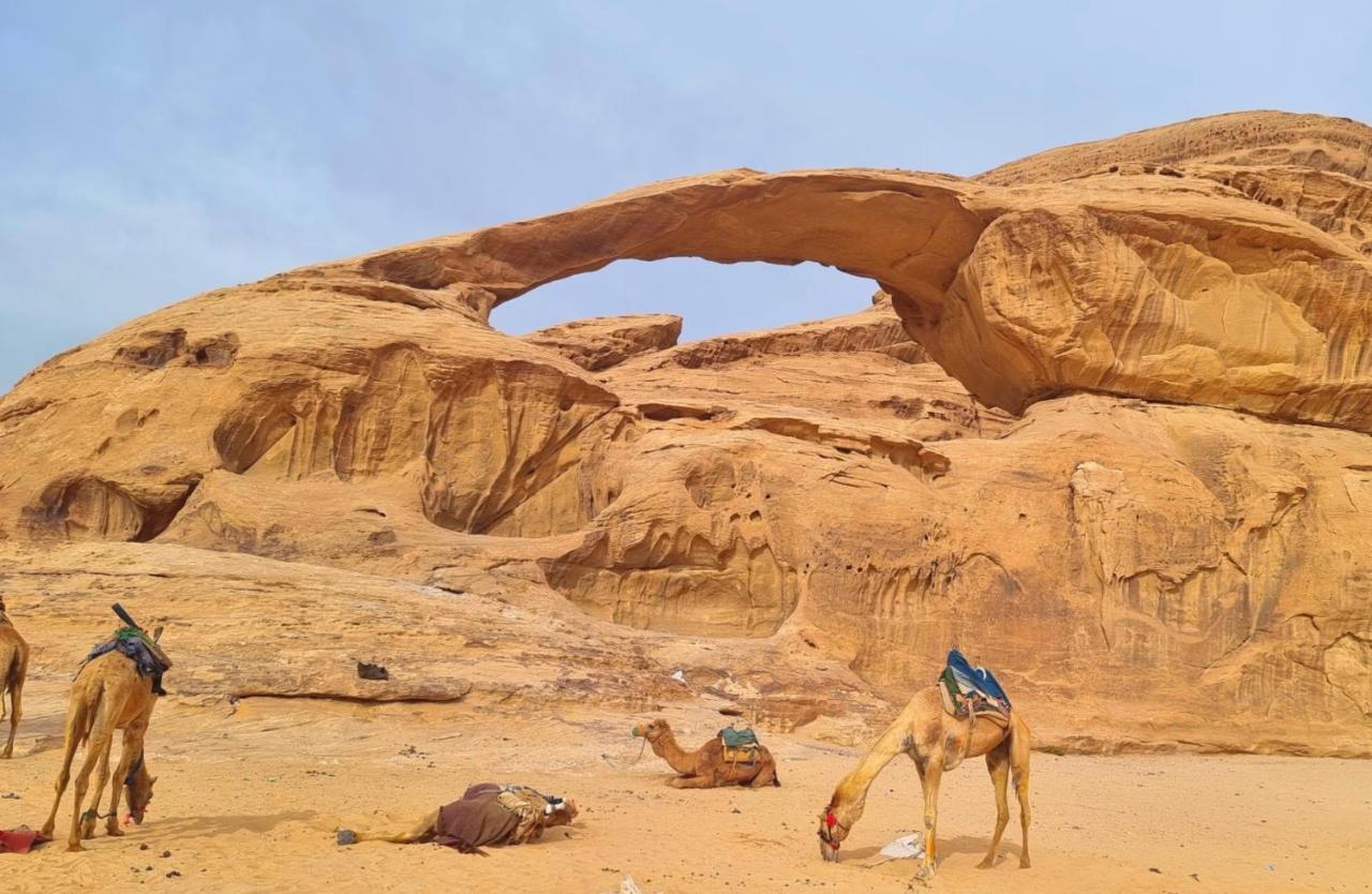 Desert Knights Camp Wadi Rum Exteriér fotografie